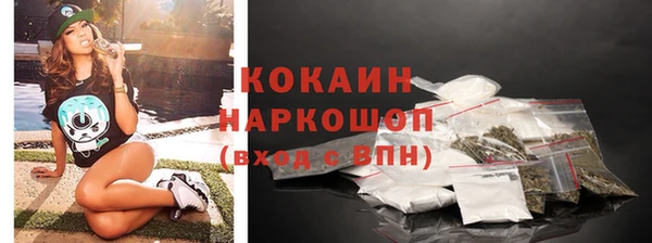 соль ск Алексин