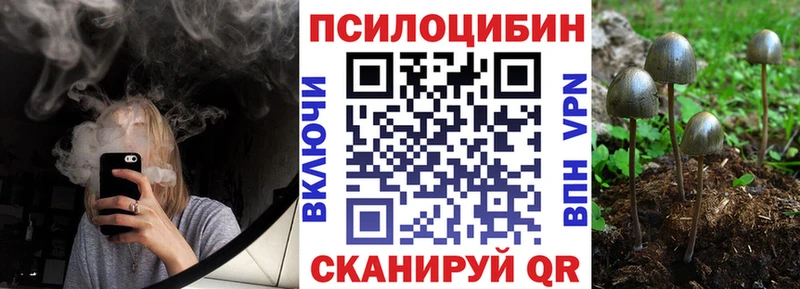 Галлюциногенные грибы Psilocybine cubensis  Усть-Кут 